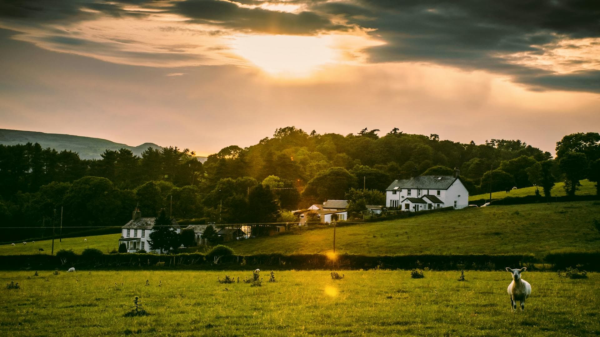 Australian countryside at sunset